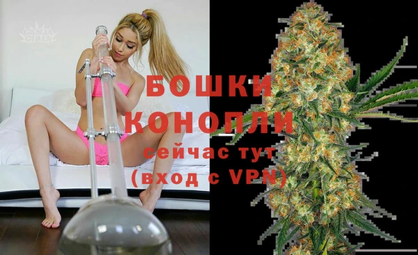 индика Орехово-Зуево
